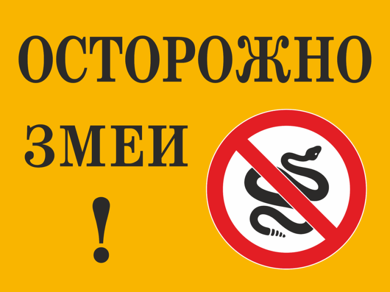Осторожно-змеи!.